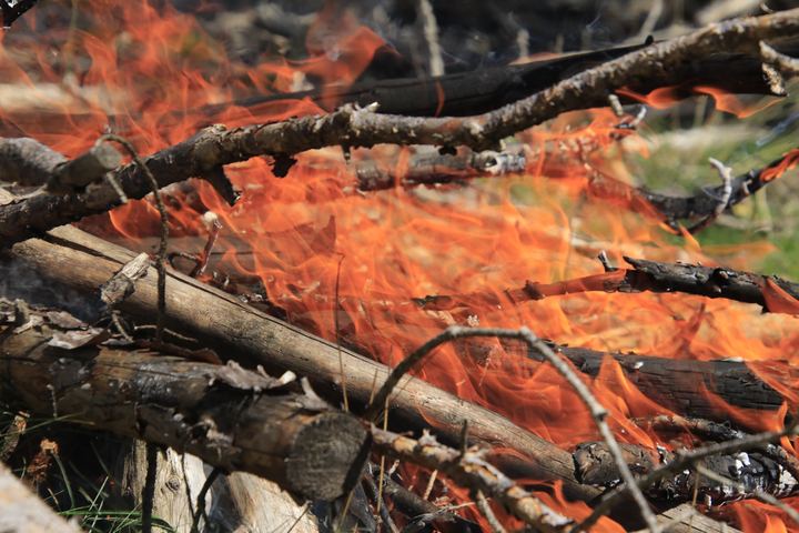 Prescribed burning in Spain, photo 3 of 11