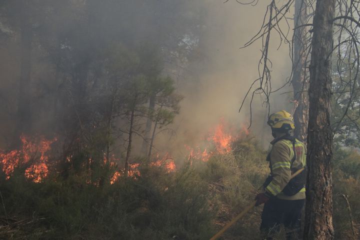 Prescribed burning in Spain, photo 7 of 11