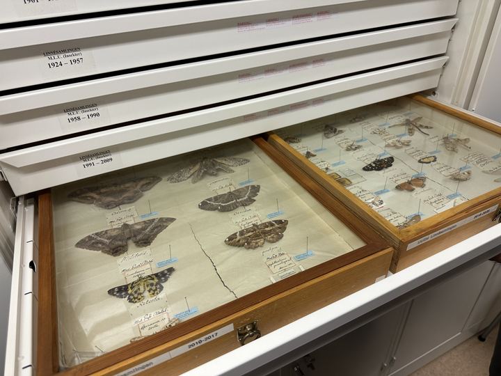 Lab workshop at the Evolutionary Biology Centre, photo 21 of 23