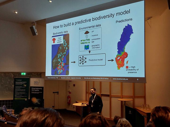 SBDI Conference in Stockholm, photo 7 of 16